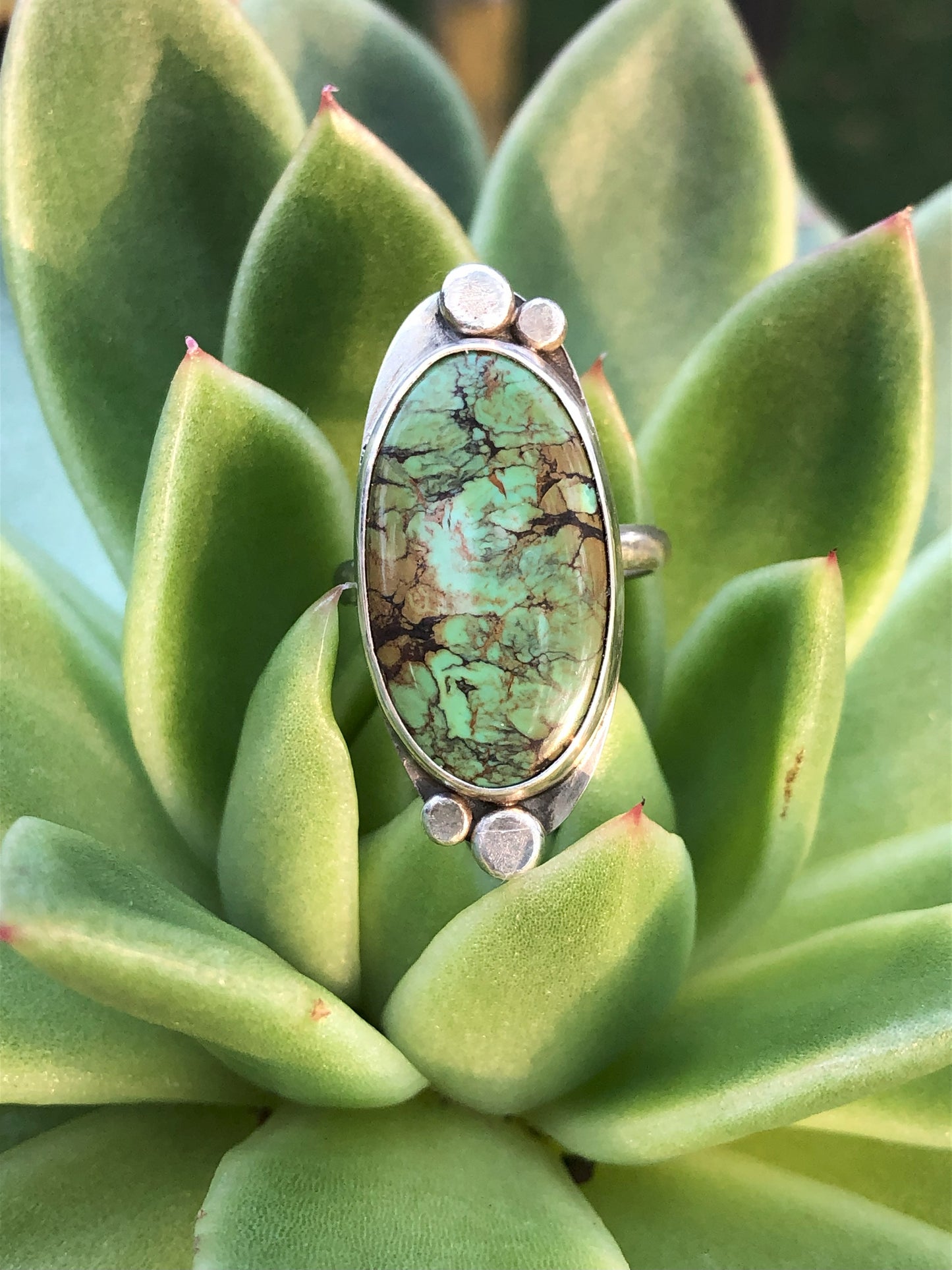 Cholla Ring Size 7 (Hubei Turquoise)