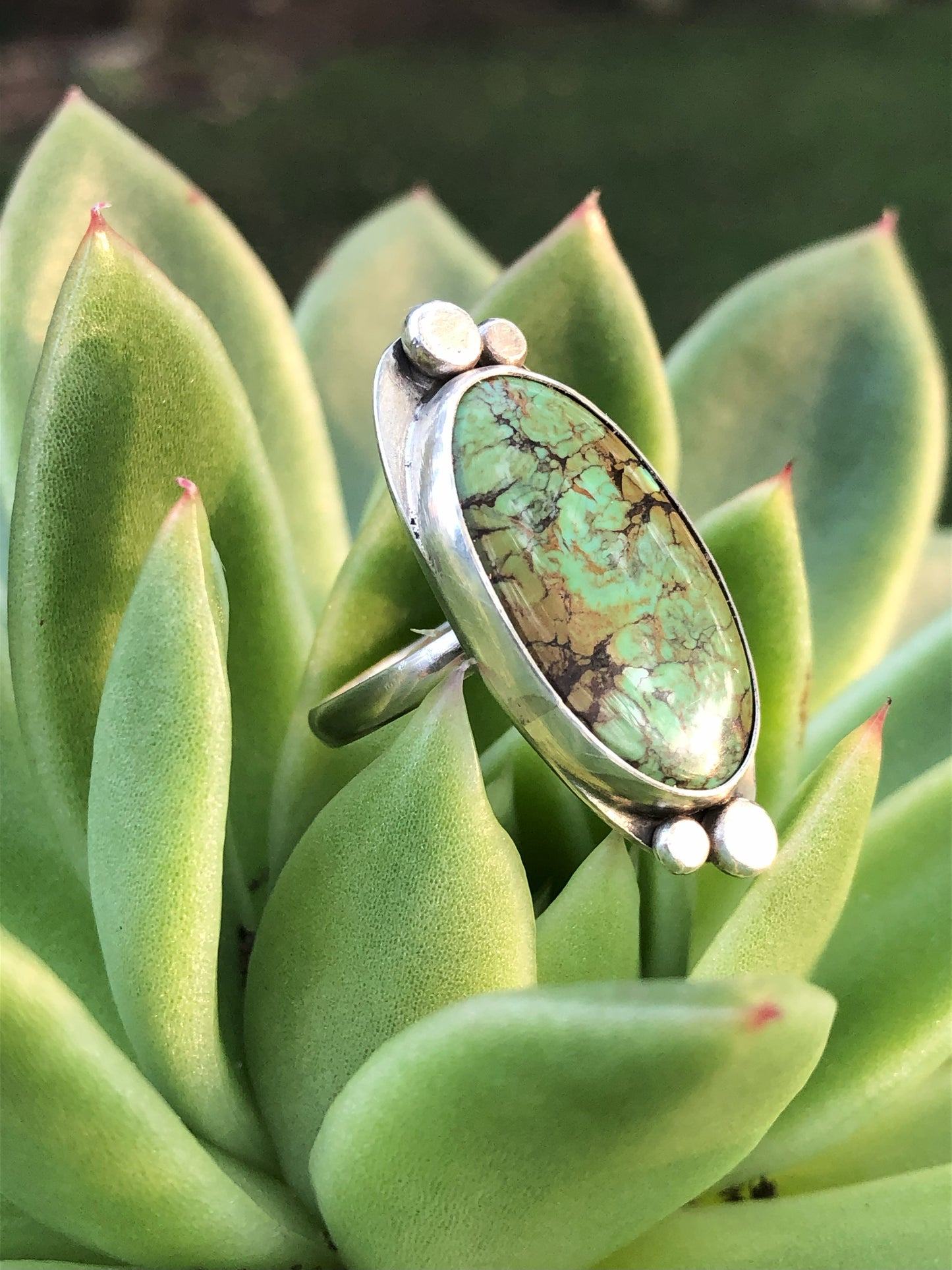 Cholla Ring Size 7 (Hubei Turquoise)