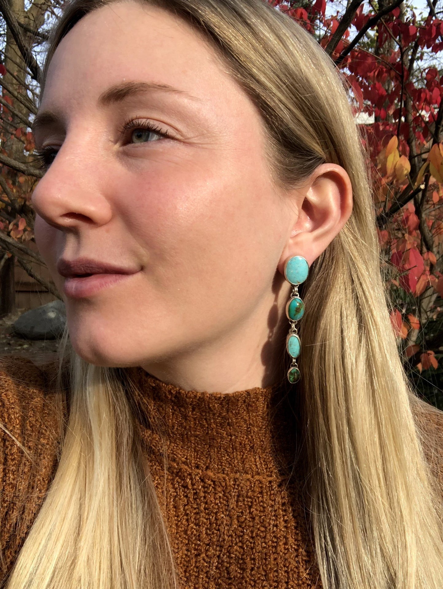 Land of Lakes Earrings (Mexican, Kingman, and Sonoran Gold Turquoise)