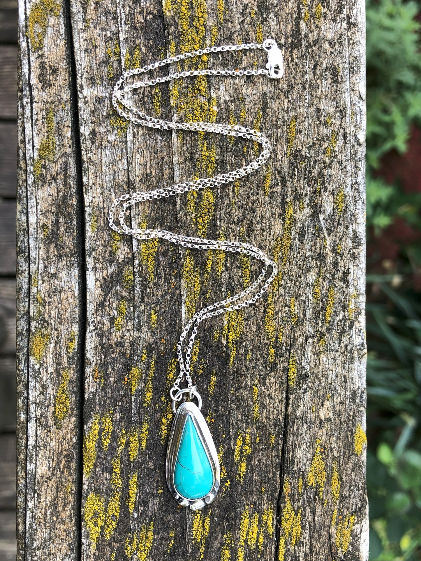 Cholla Charm Necklace (Turquoise)